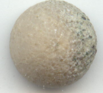 Whatisit, 6 mm a (363x326, 14344)